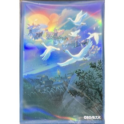 Yu-Gi-Oh! Holy Night of the Witches Sleeves (50 Count)