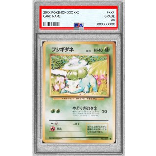Bulbasaur LV.13 · Vintage