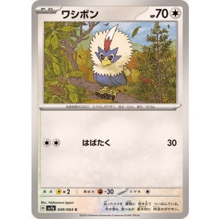 Rufflet C · 049/064