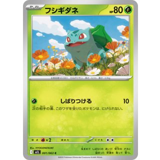 Bulbasaur C · 001/063