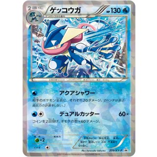 Greninja · 209/XY-P