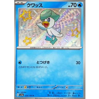 Quaxly S · 224/190