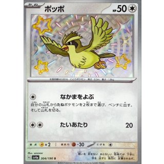 Pidgey · 304/190