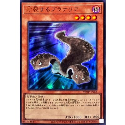 Splitting Planarian · VJMP-JP258 · Ultra Rare