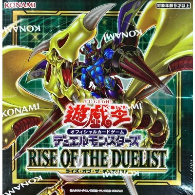RISEOFTHEDUELIST
