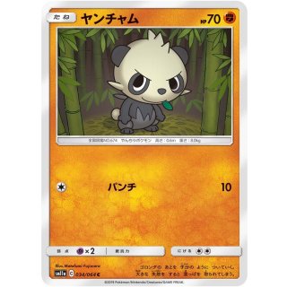 Pancham C · 034/064