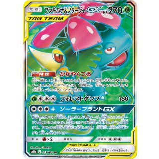 Venusaur SnivyGX · 065/064